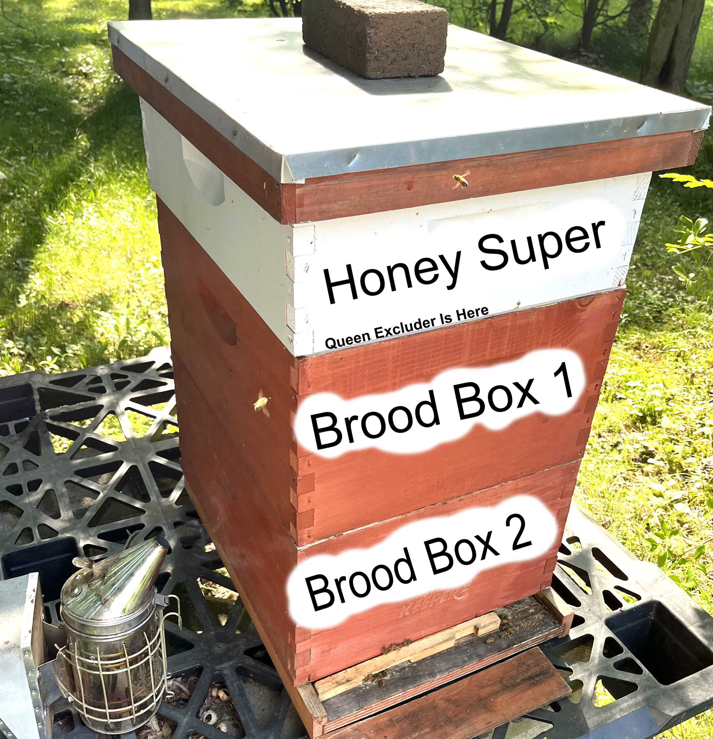 Hive #1 – Adding Honey Super!